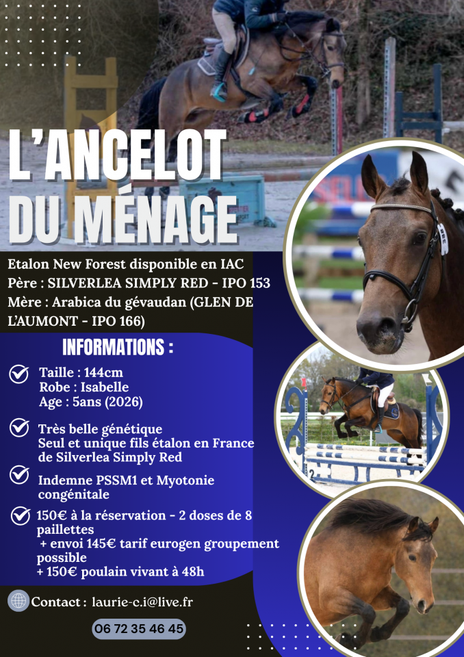 Saillie &eacute;talon New forest Isabelle L'ancelot du m&eacute;nage 