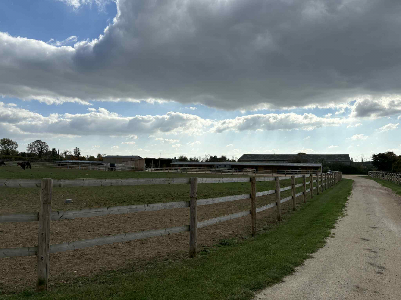 Écurie de neuve sur 5ha coeur Calvados (14) 