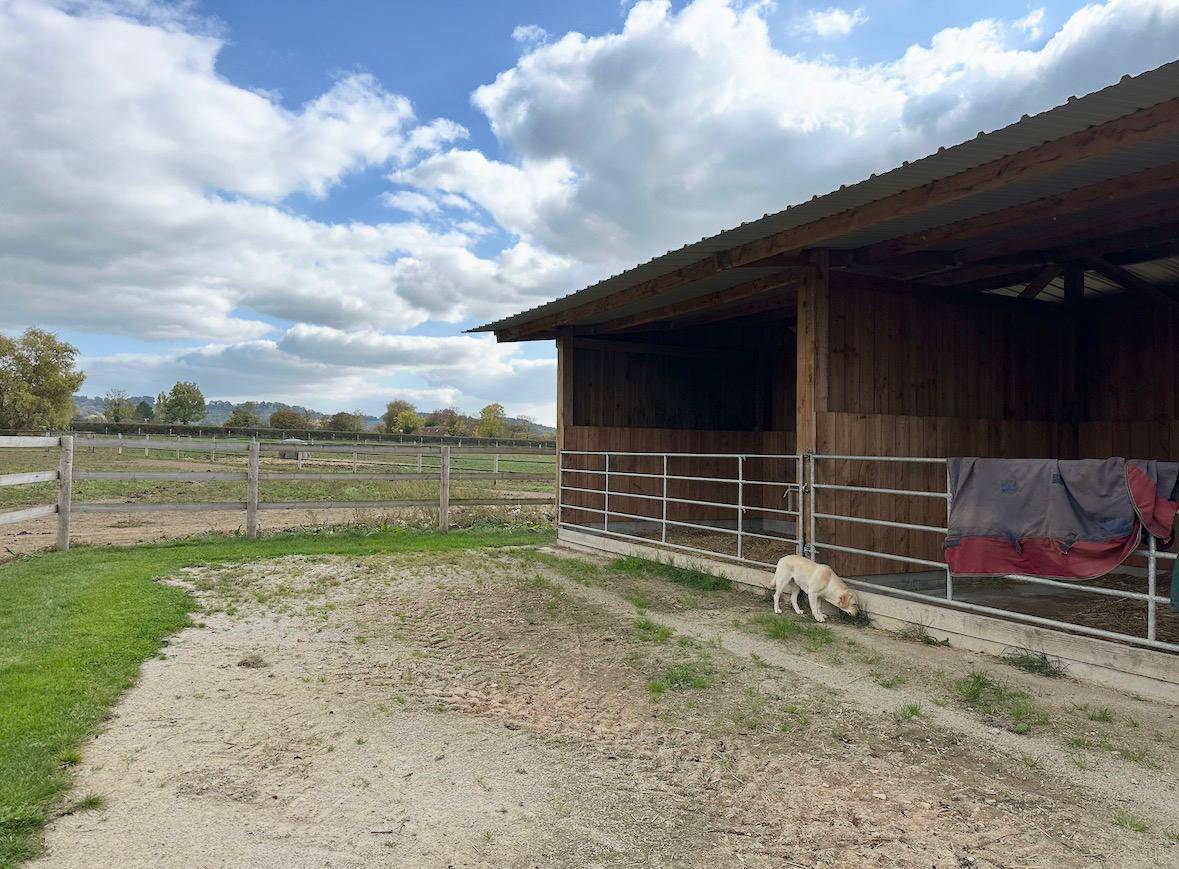 Écurie de neuve sur 5ha coeur Calvados (14) 