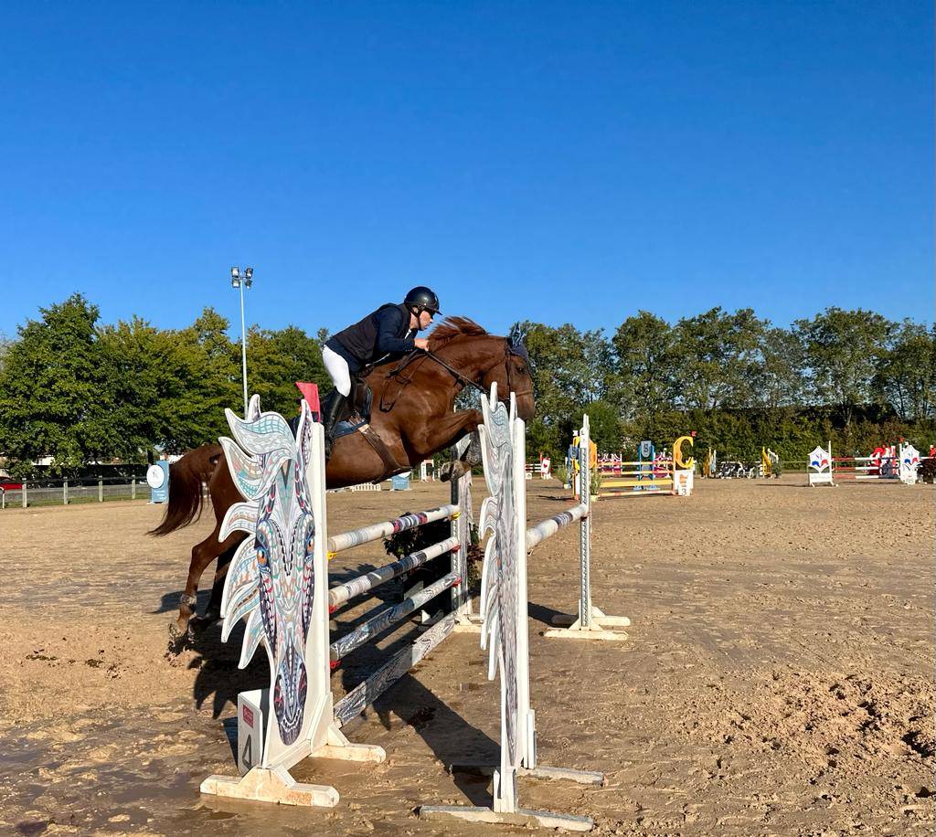 vends jument cso 9 ans super génétique