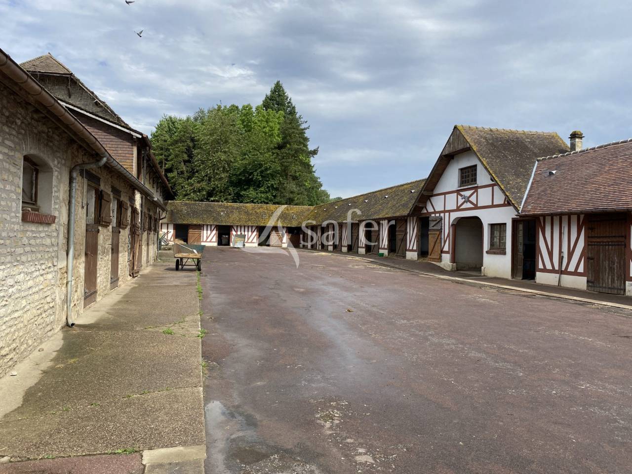 Haras d'élevage