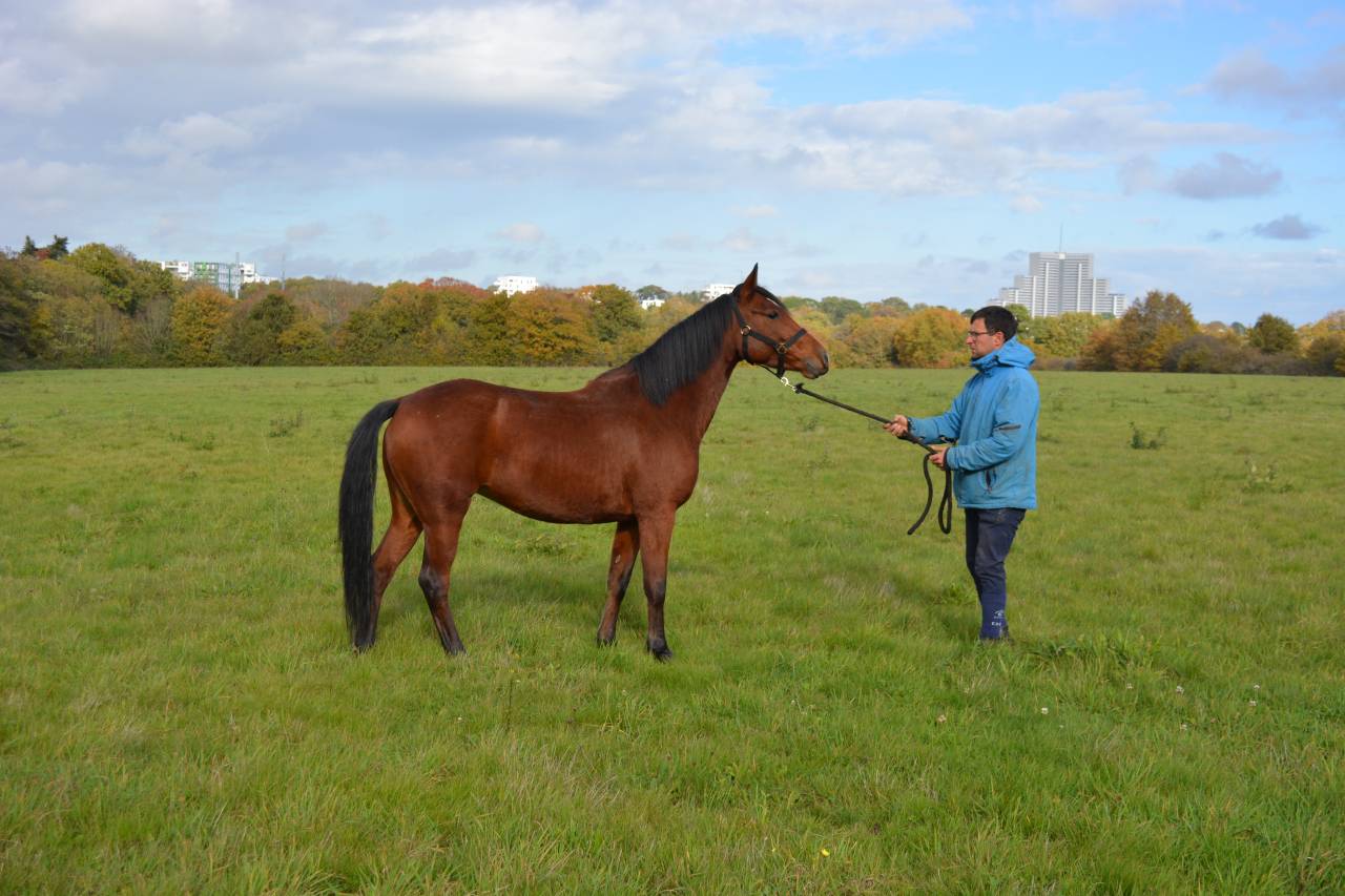 Ponette 4 ans par Pawnee