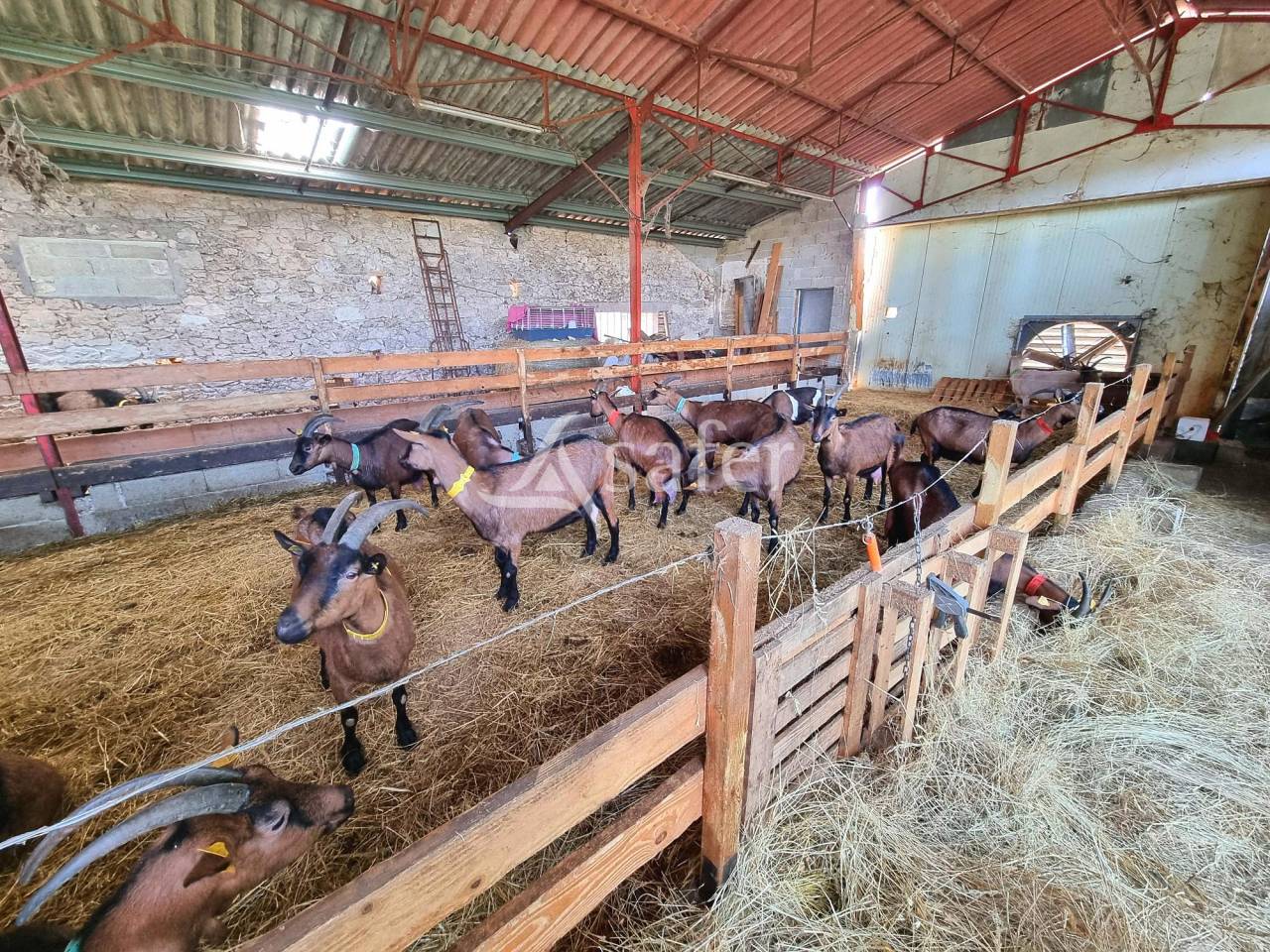 Petite quercynoise en pierre avec dépendances agricoles sur 4 h