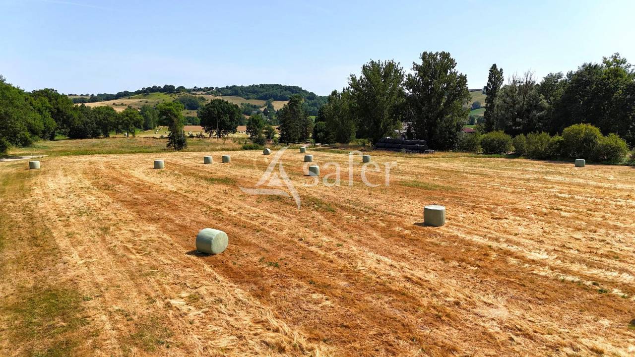 Petite quercynoise en pierre avec dépendances agricoles sur 4 h