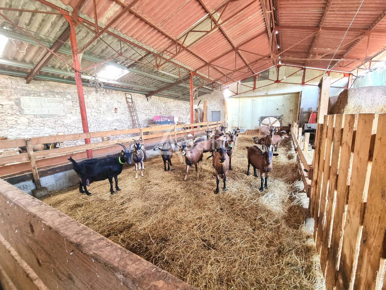Petite exploitation &agrave; vocation &eacute;levage avec atelier transforma