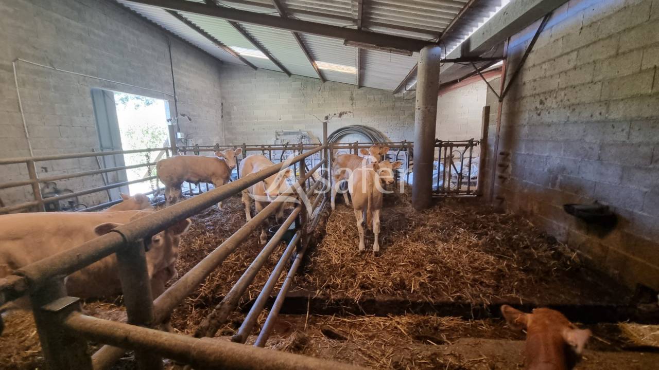 Proche Aignan - Propriété de 38 ha