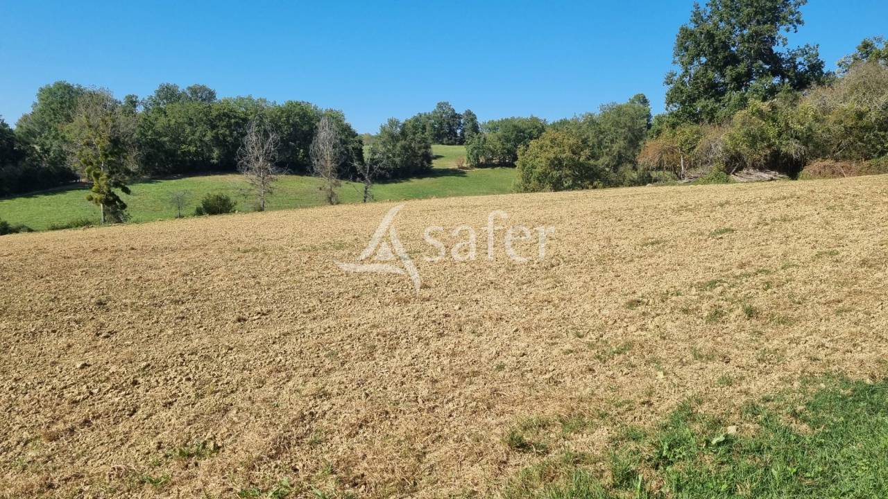 Proche Aignan - Propriété de 38 ha