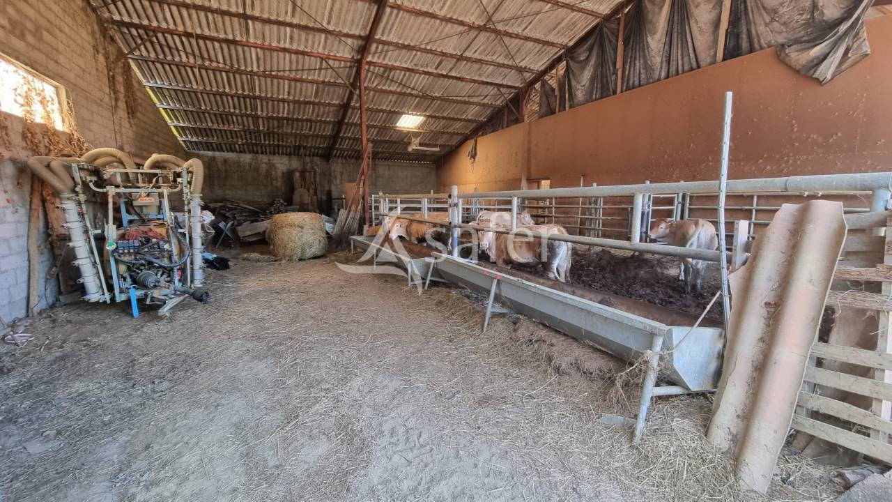 Proche Aignan - Propriété de 38 ha