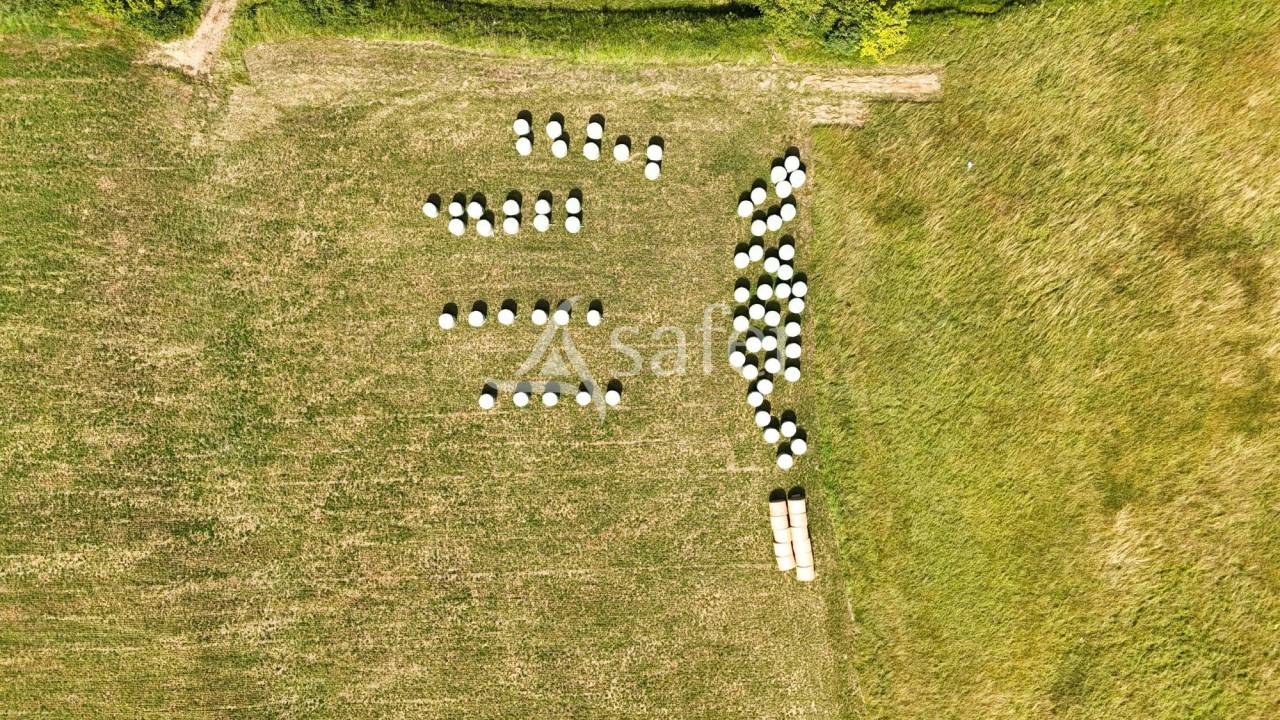 Propri&eacute;t&eacute; polyculture &eacute;levage de 38 ha Proche Aignan