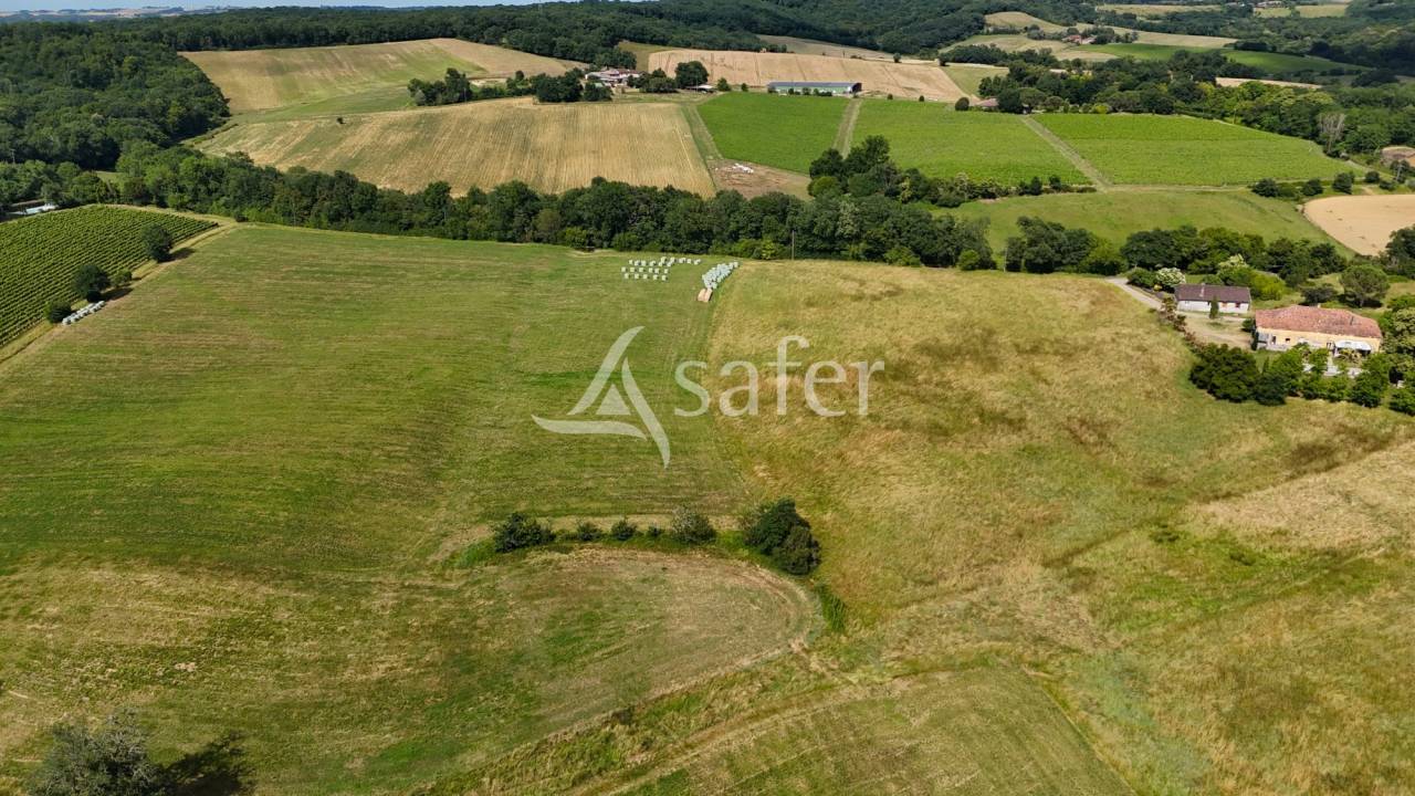 Propri&eacute;t&eacute; polyculture &eacute;levage de 38 ha Proche Aignan