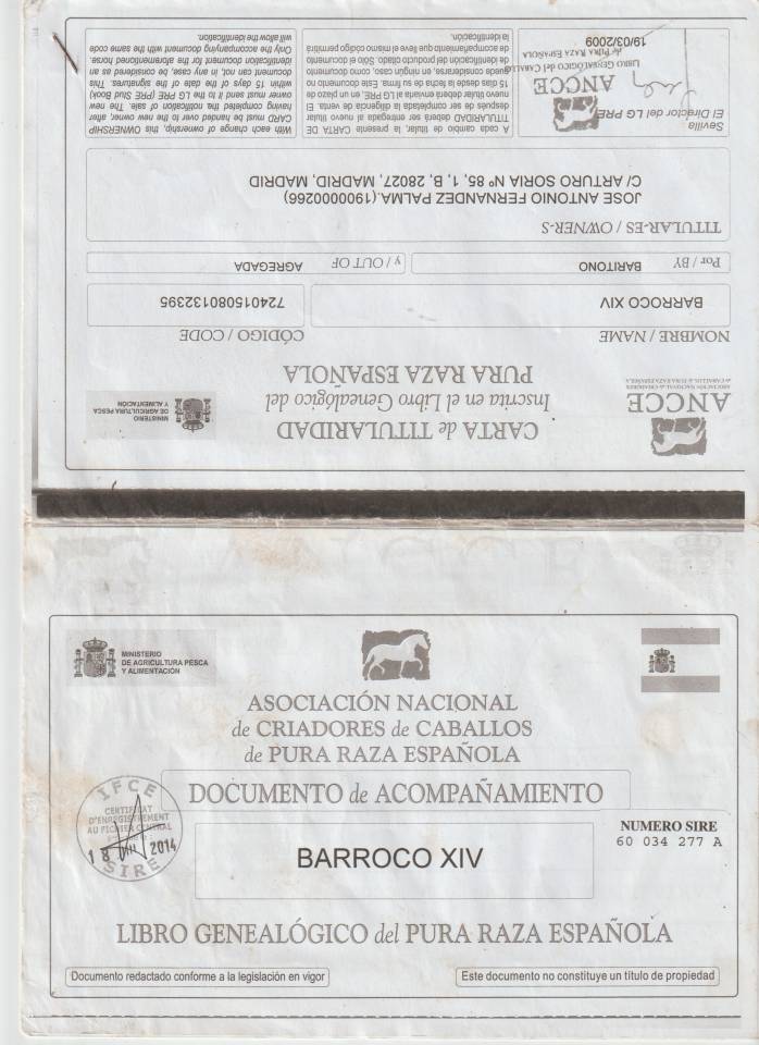 hongre 16 ans TOP LOISIRS 