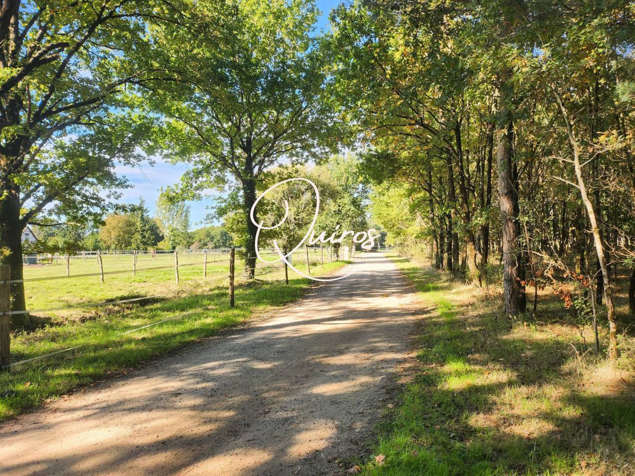 Domaine équestre complet  17 ha  Proche Lamotte-Beuvron