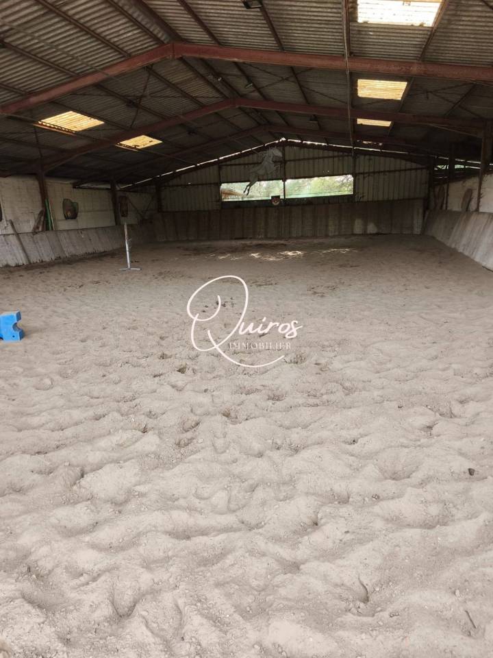 Domaine équestre complet  17 ha  Proche Lamotte-Beuvron
