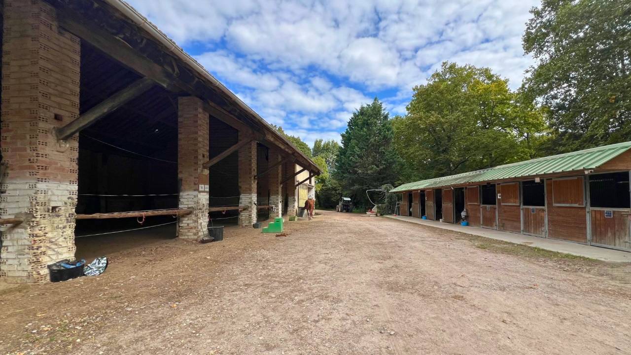 Propri&eacute;t&eacute; &eacute;questre &agrave; fort potentiel dans l'Aude (11)