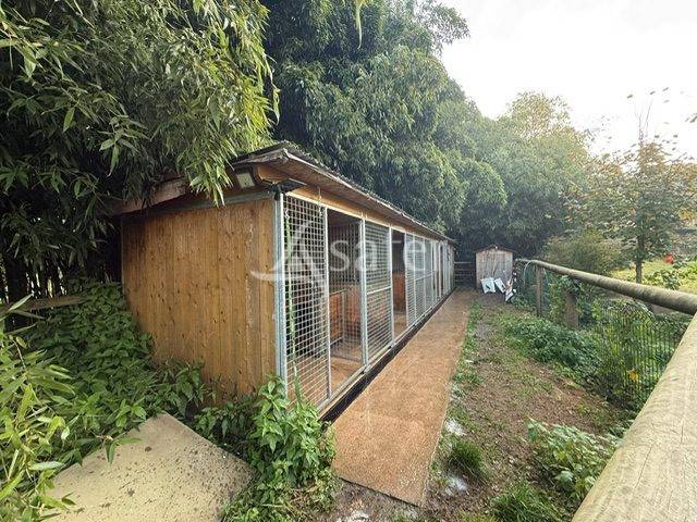 Ferme rénovée avec grange et dépendance - 2 ha 15 a 04 ca