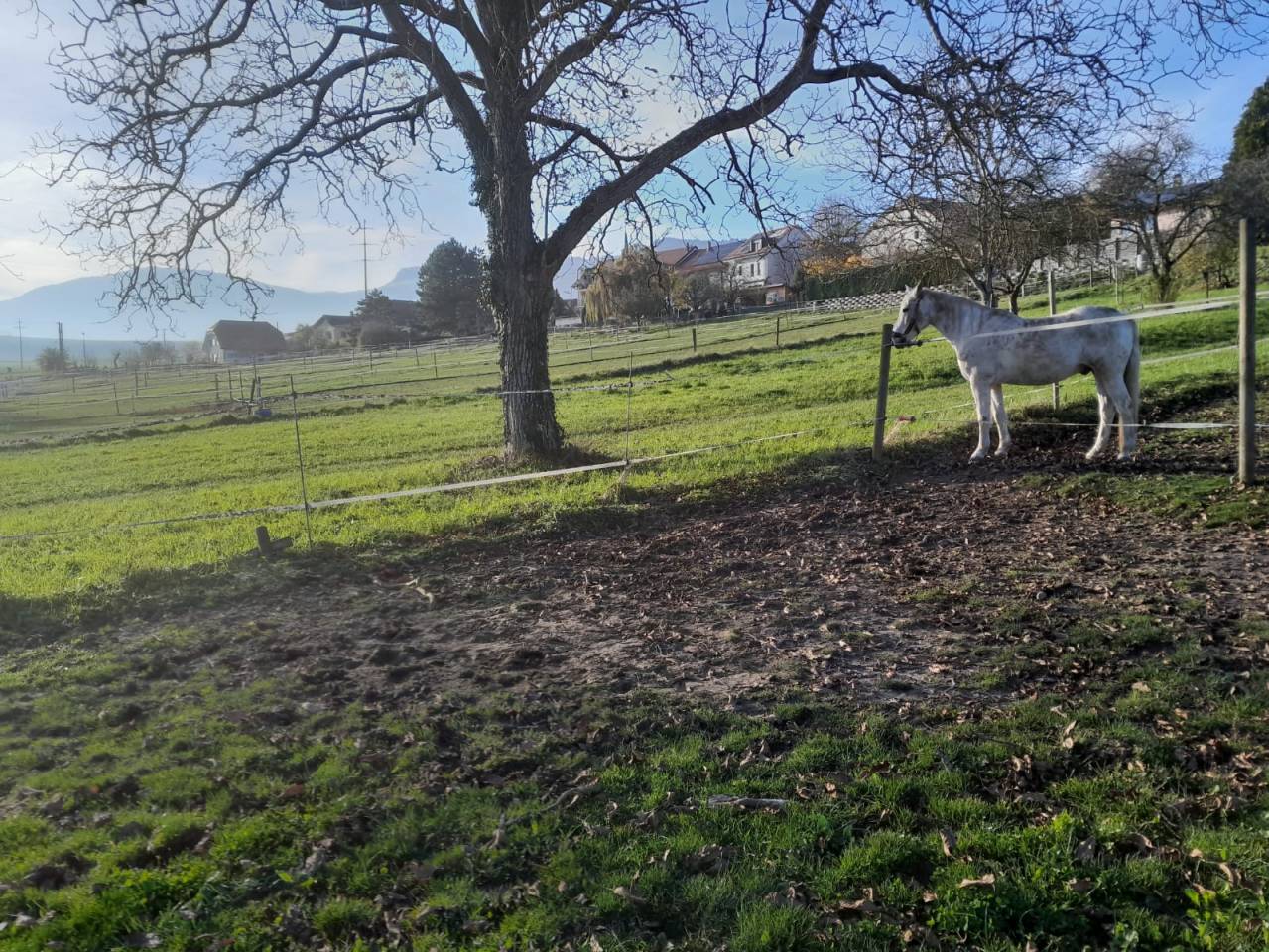 BOXES A LOUER COMMUNE DE CHAMPVENT