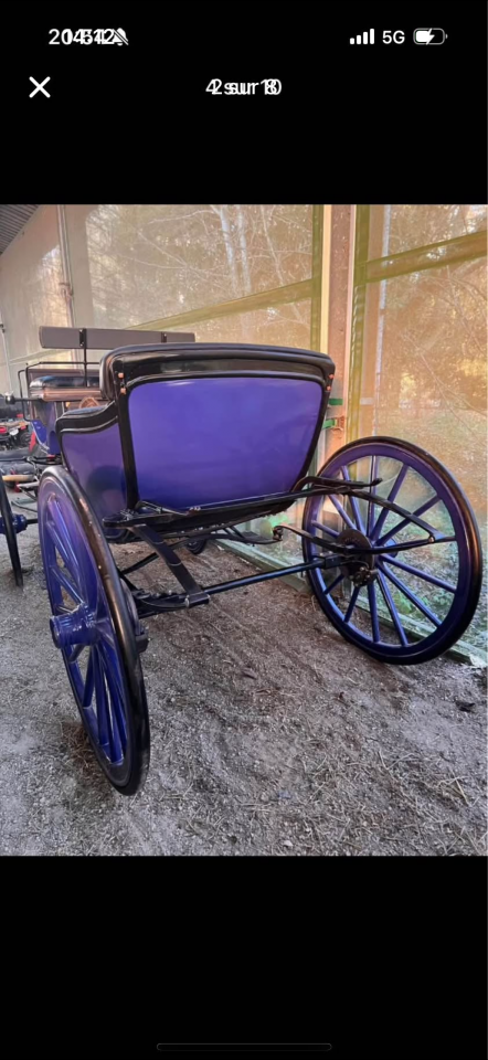 Calèche a vendre 
