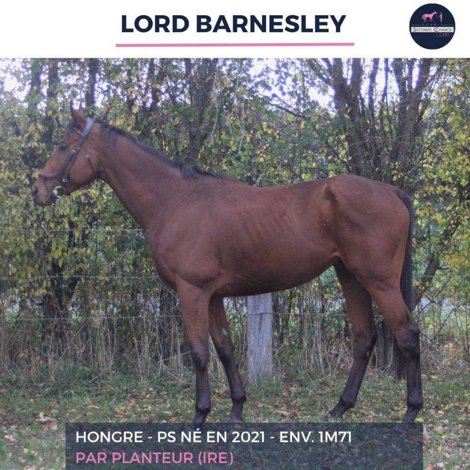 LORD BARNSLEY - PS - 4 ANS