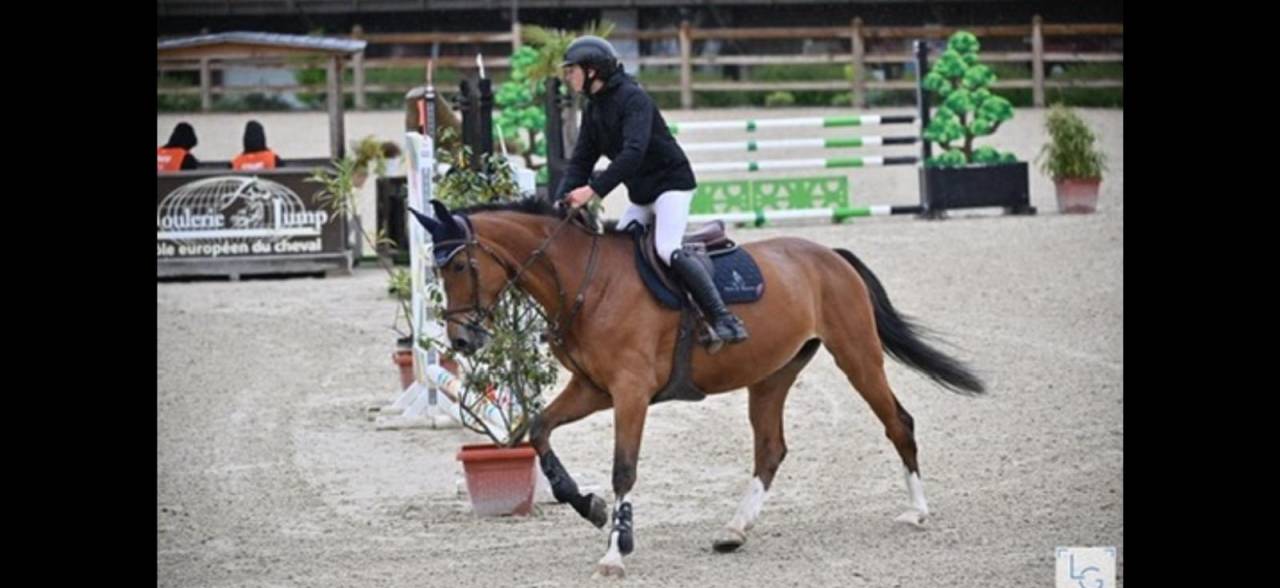 Jument 7 ans extra amateur 