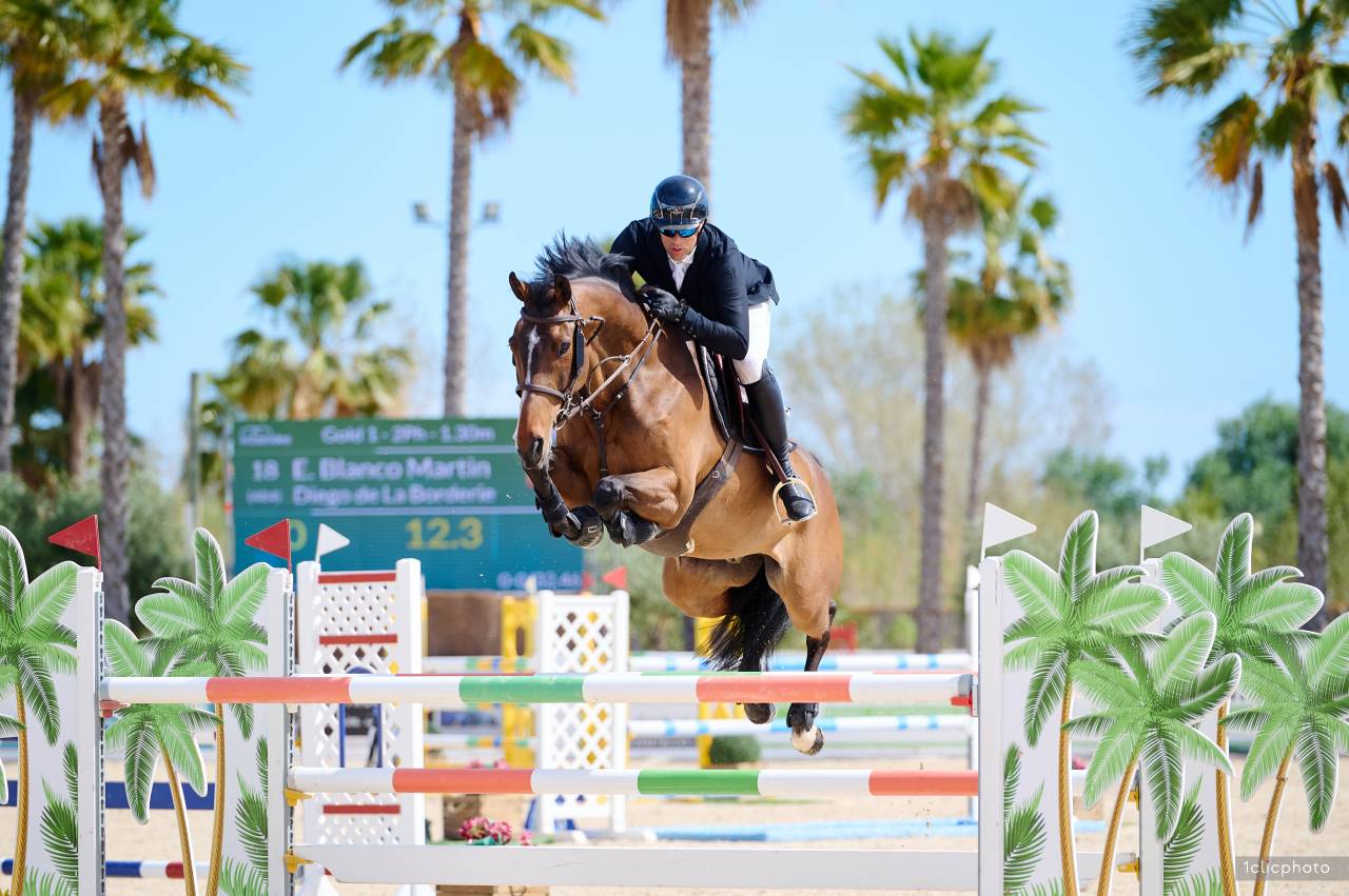 Cheval d'expérience