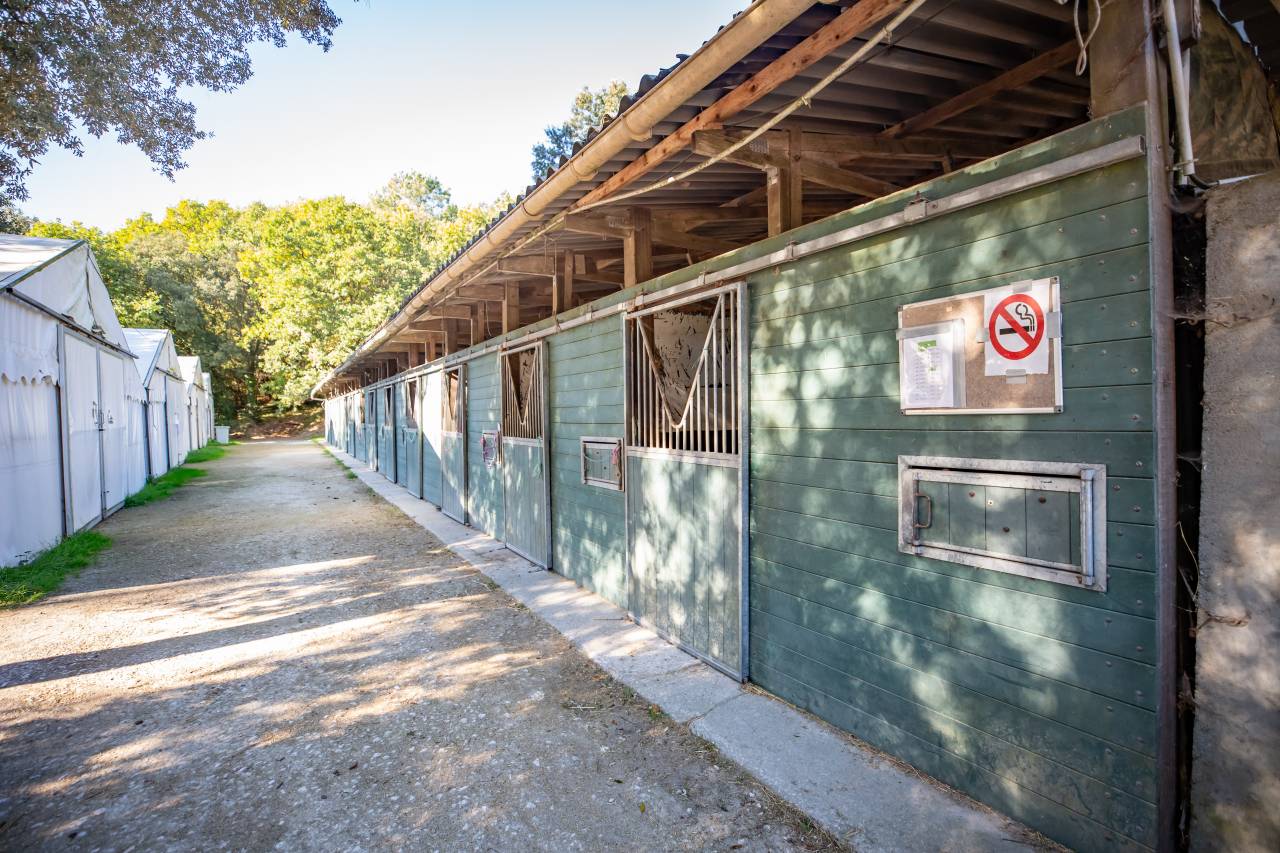 VENTE CENTRE EQUESTRE DE ROYAN