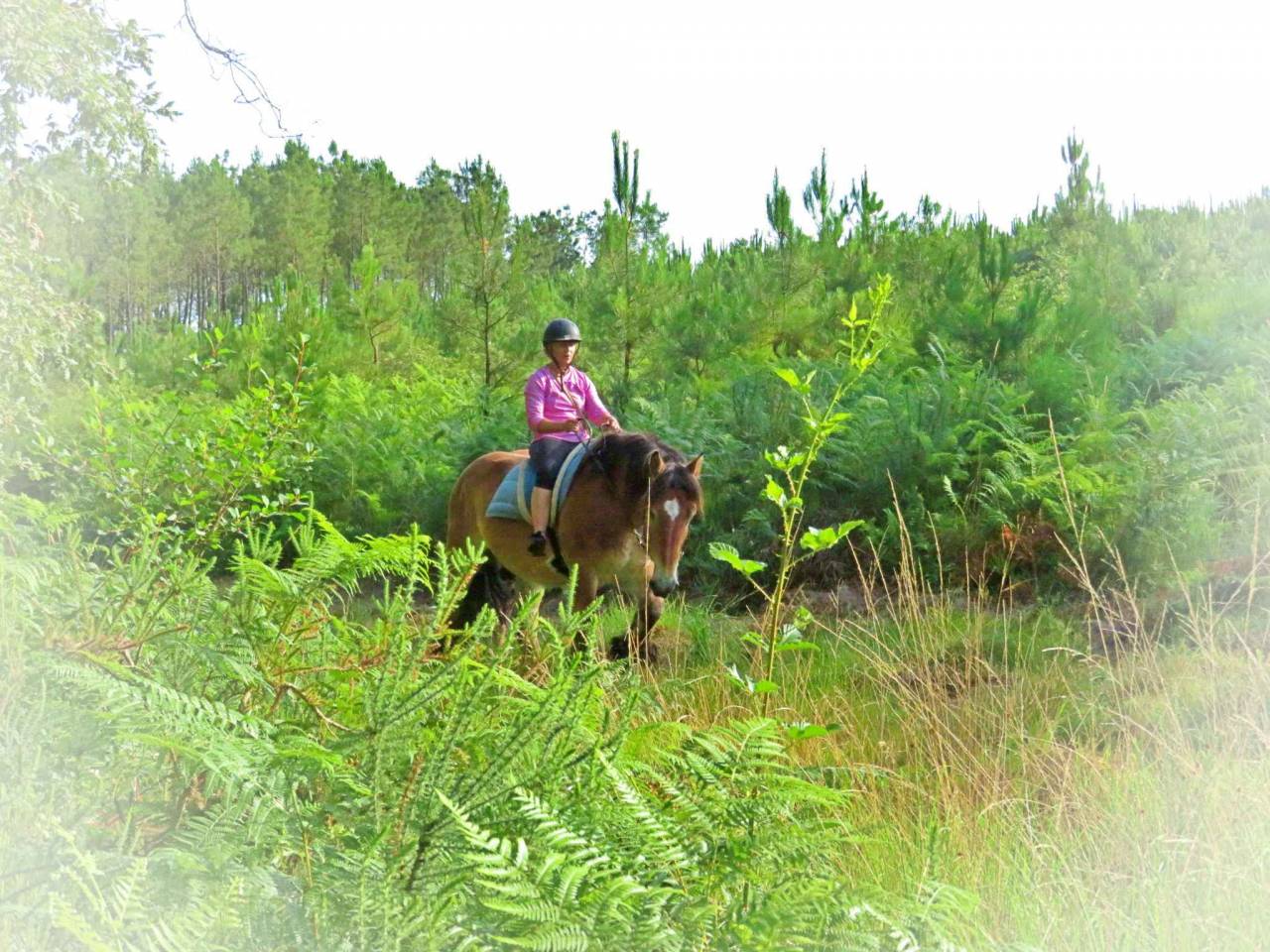 Le Relais de La Jemaye