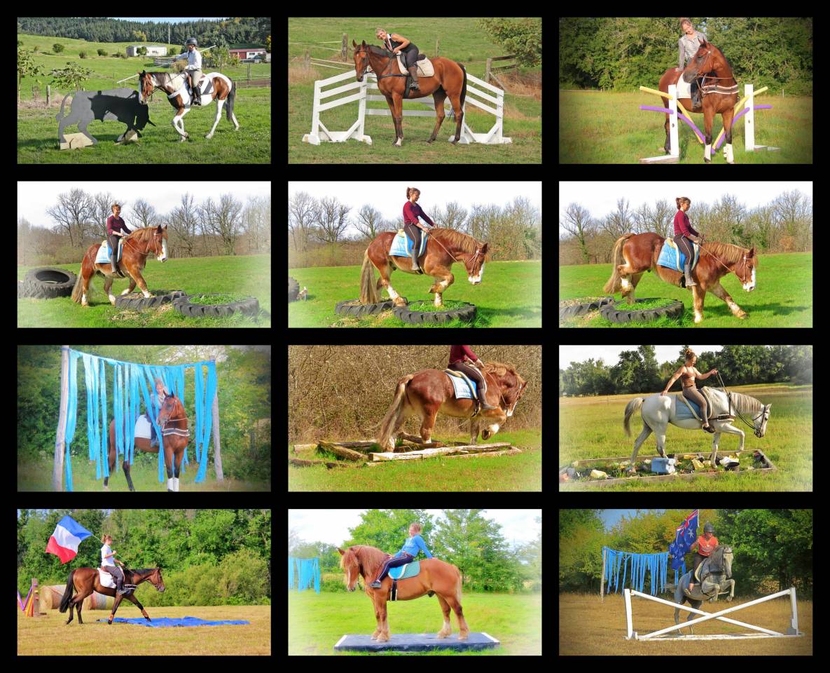 Le Relais de La Jemaye