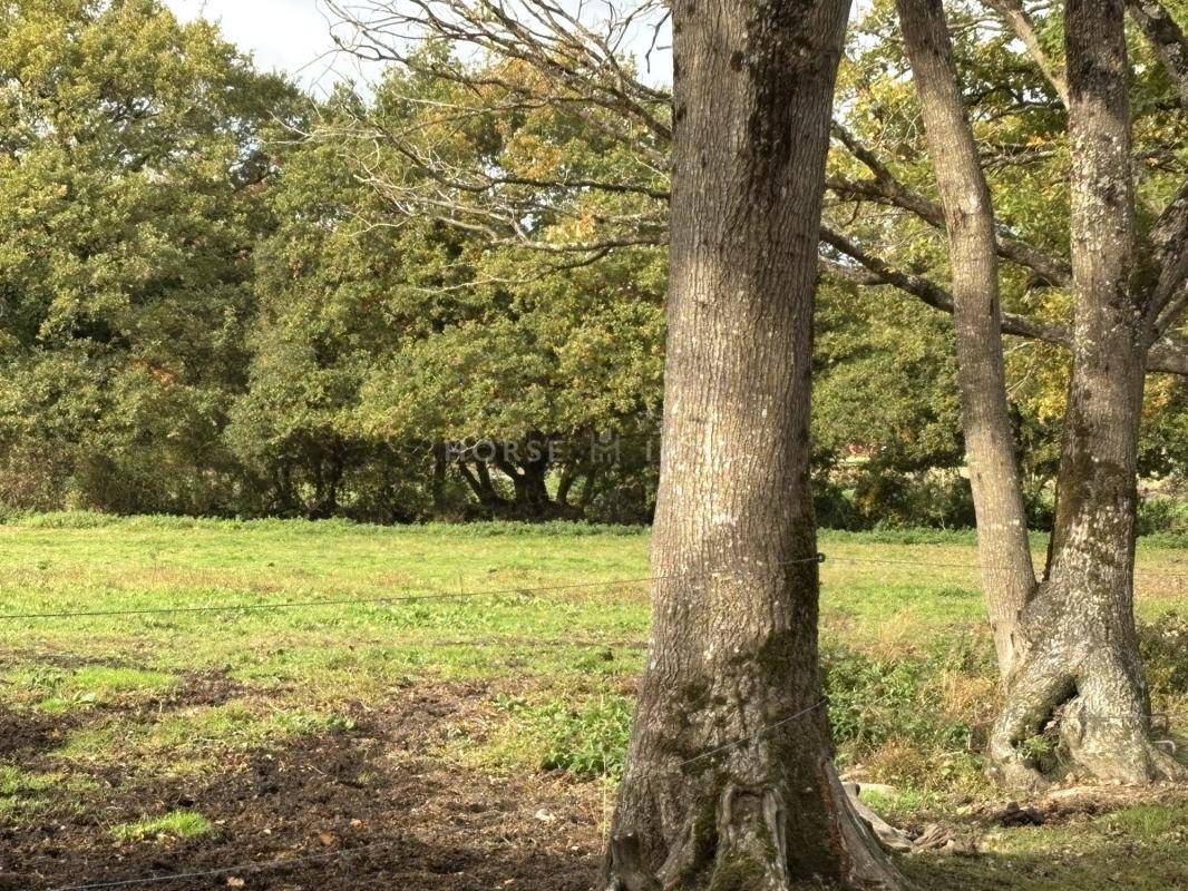 Centre &eacute;questre op&eacute;rationnel - 15 ha &agrave; proximit&eacute; de Nantes