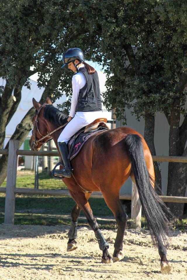 Jument de 9ans par eldorado 