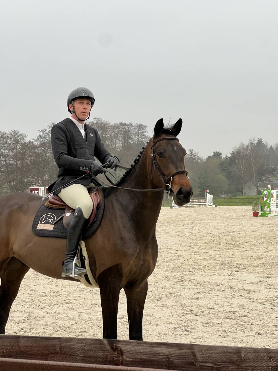 Prometteur hongre de 4 ans par Conthargos x Diamant 