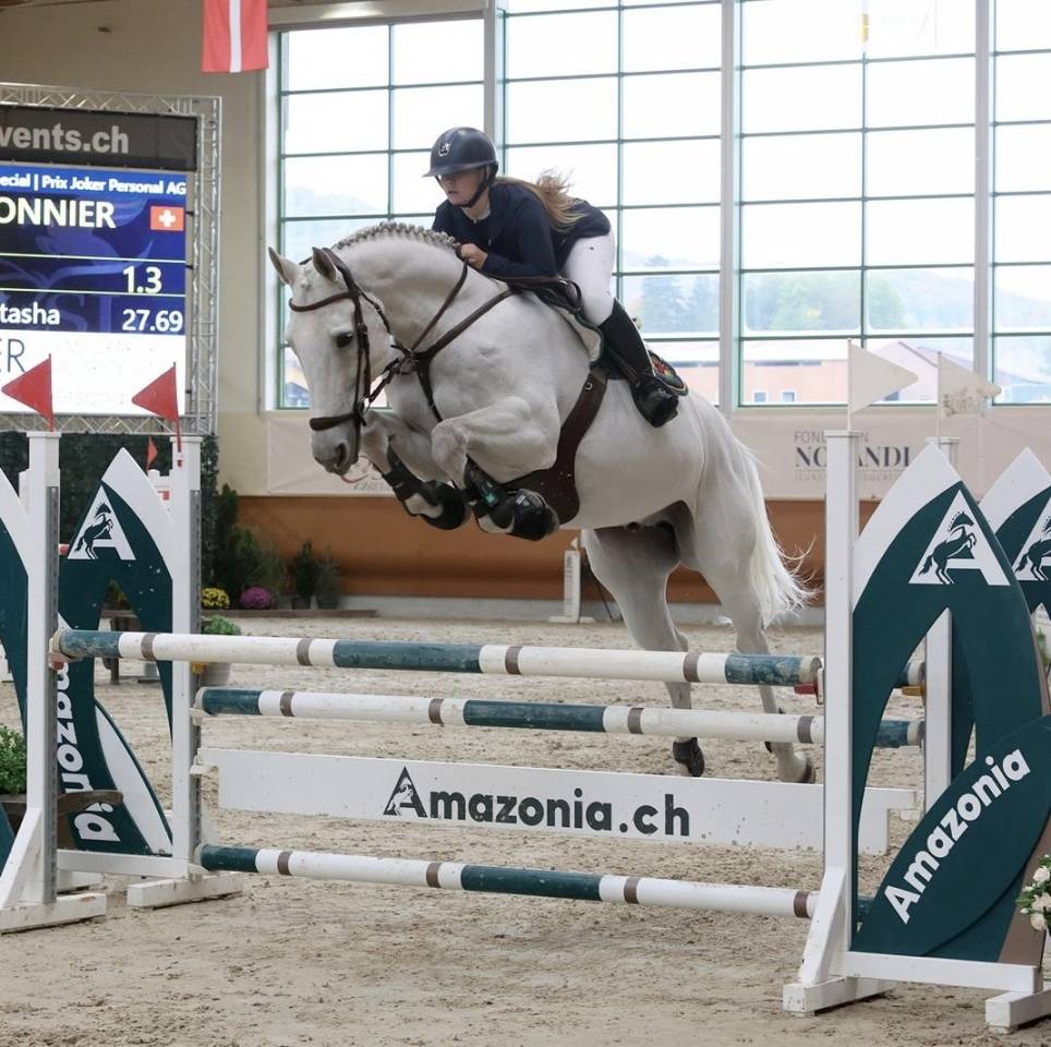 Oldenburg-International (OS), Gelding, 14 ans