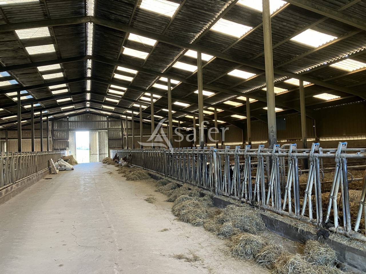 Exploitation laitière 170 ha