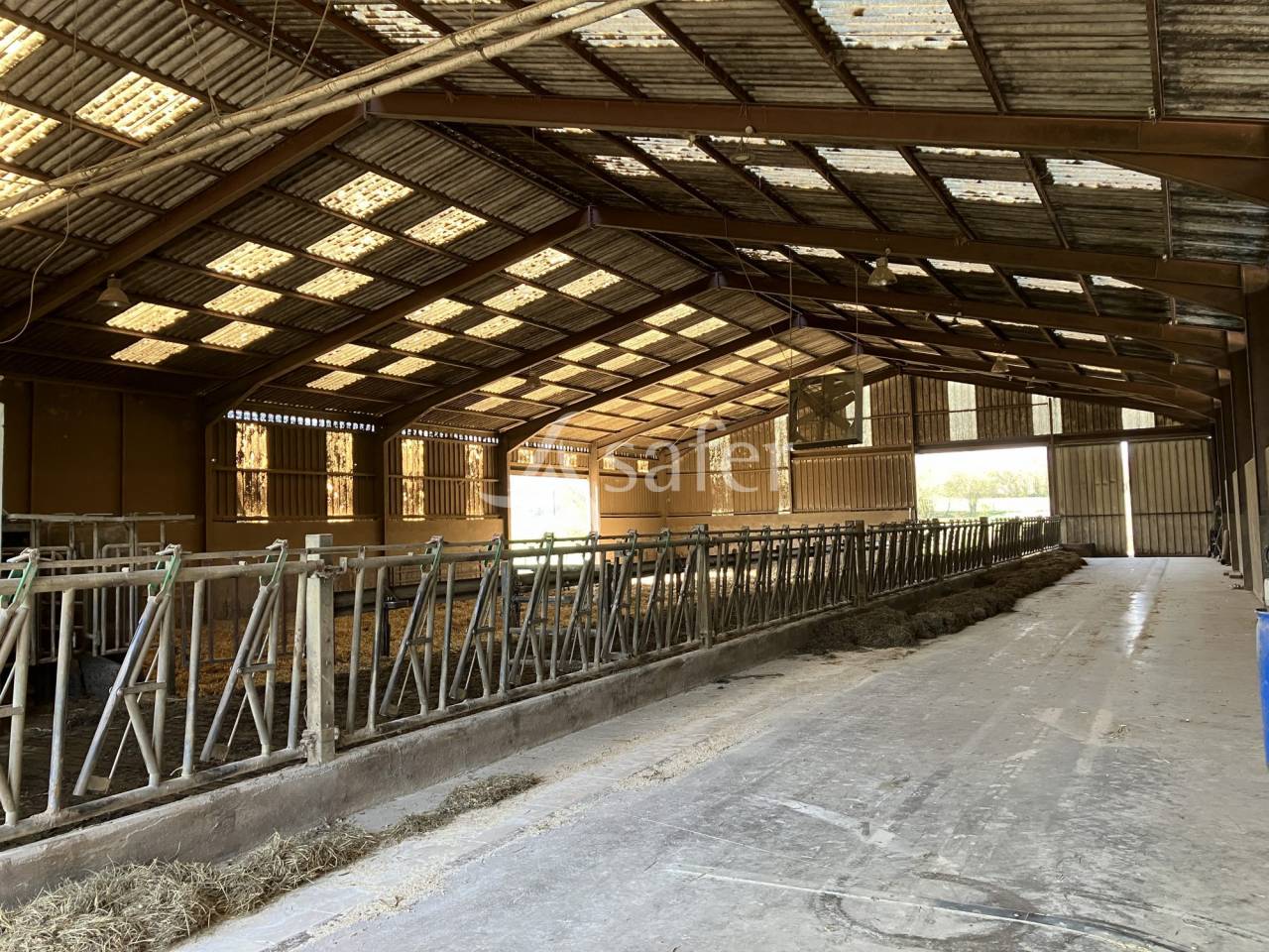 Exploitation laitière 170 ha