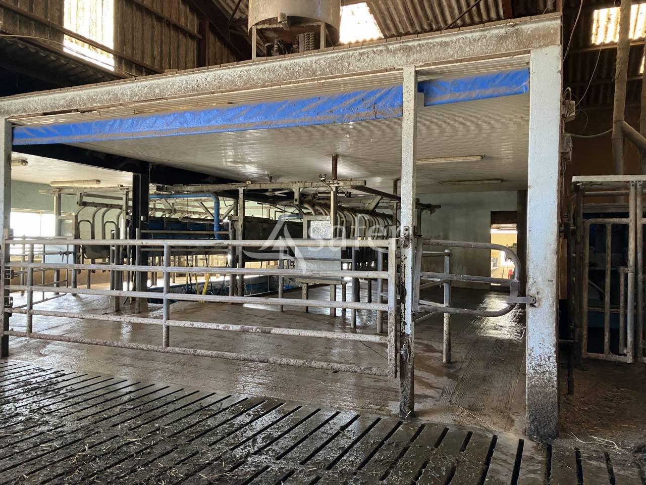 Exploitation laitière 170 ha