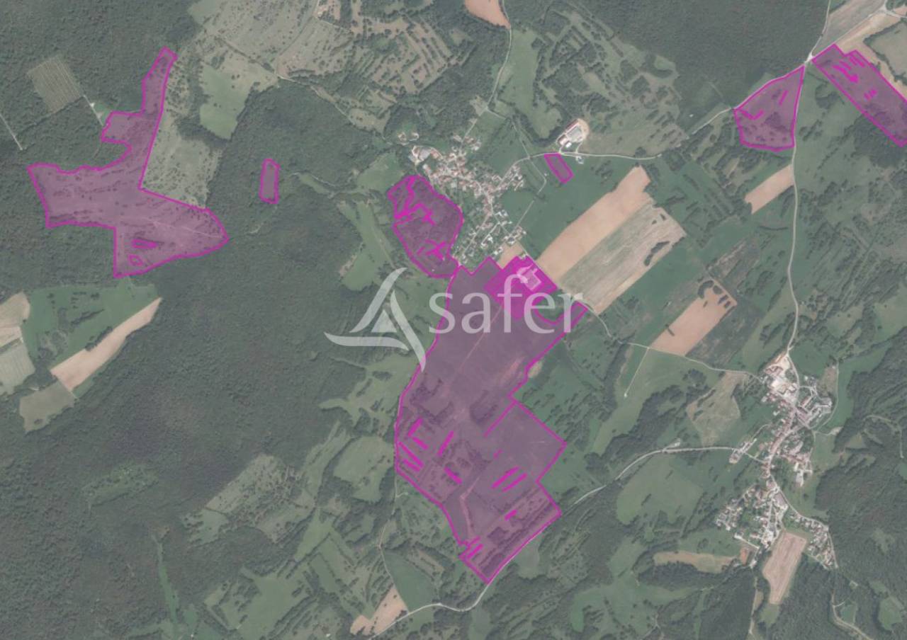 Exploitation laitière 170 ha