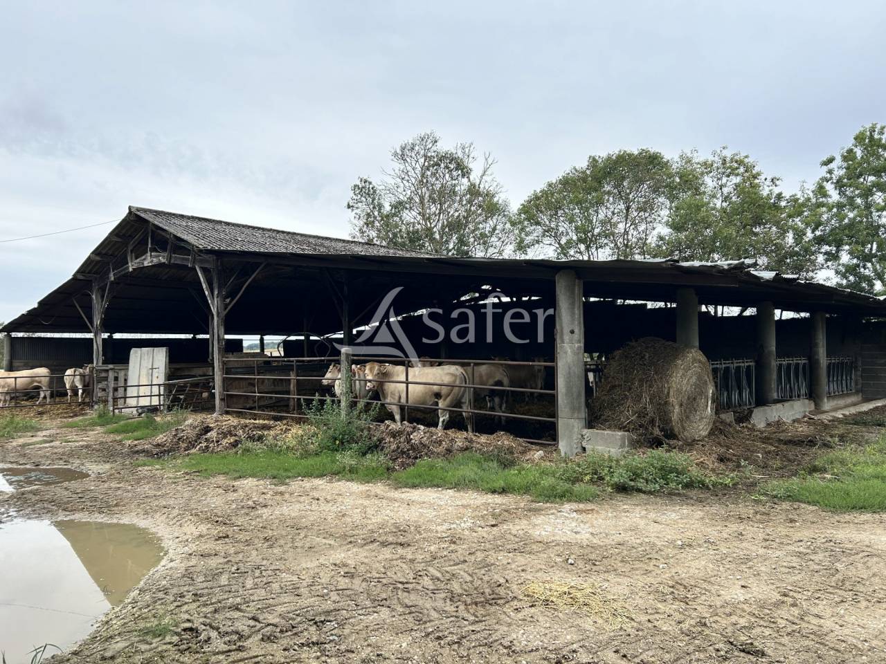 Propri&eacute;t&eacute; agricole sur 35ha