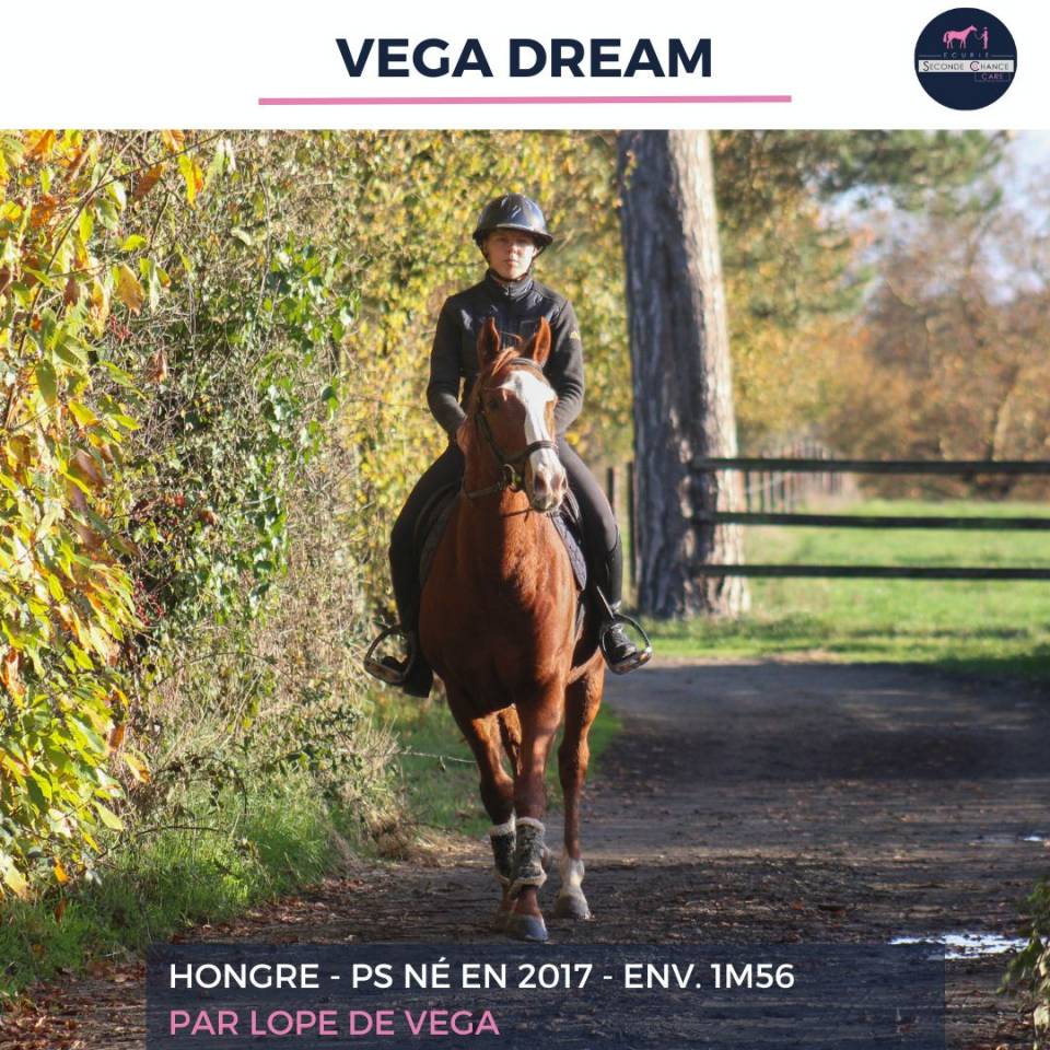 VEGA DREAM - PS - 8 ANS