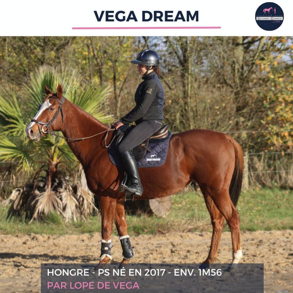 VEGA DREAM - PS - 8 ANS