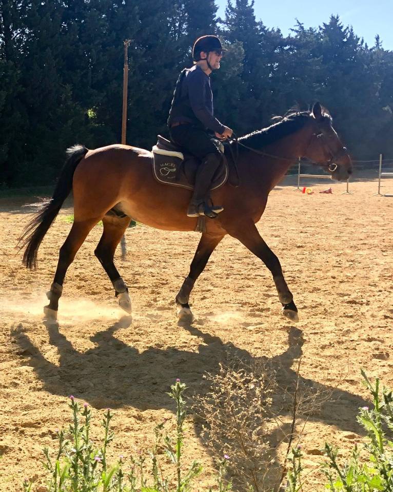 KILI Selle Français Origine 21 ans 1m60 