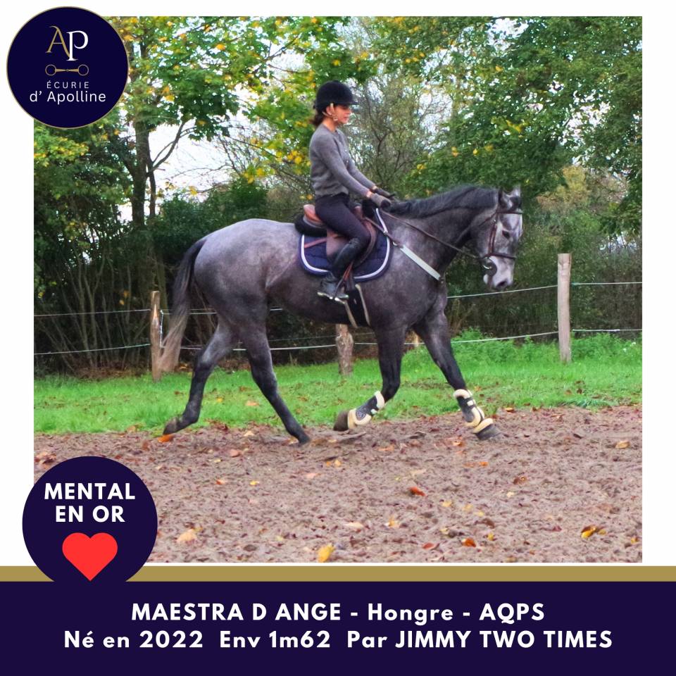 jeune AQPS 4 ans en 2026 mental en or