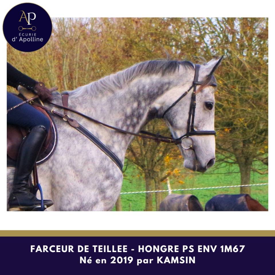 Magniofique 6 ans env 1m67