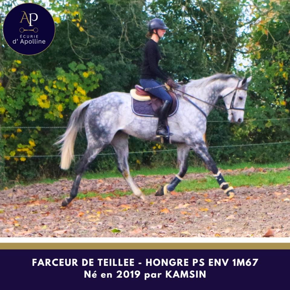 Magniofique 6 ans env 1m67