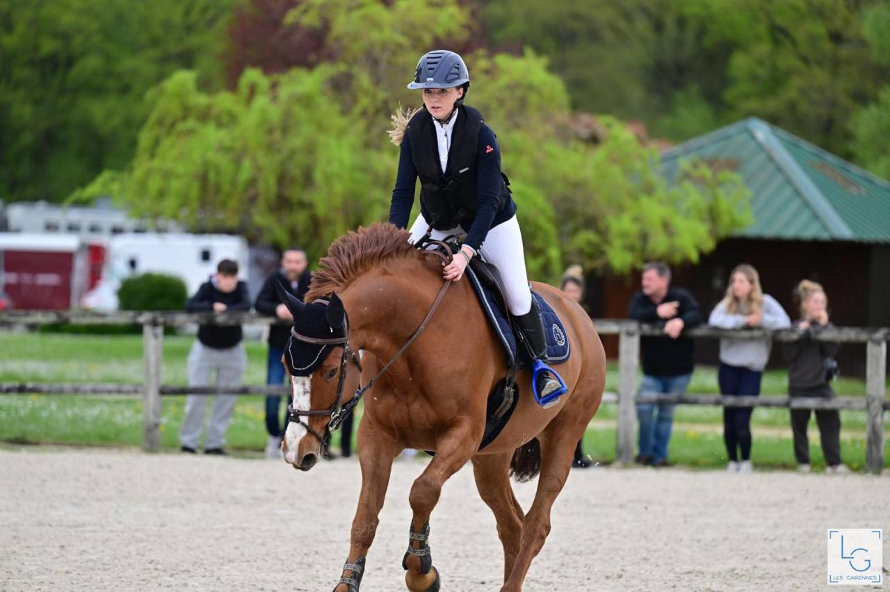 JUMENT 14 ANS SELLE FRANCAIS