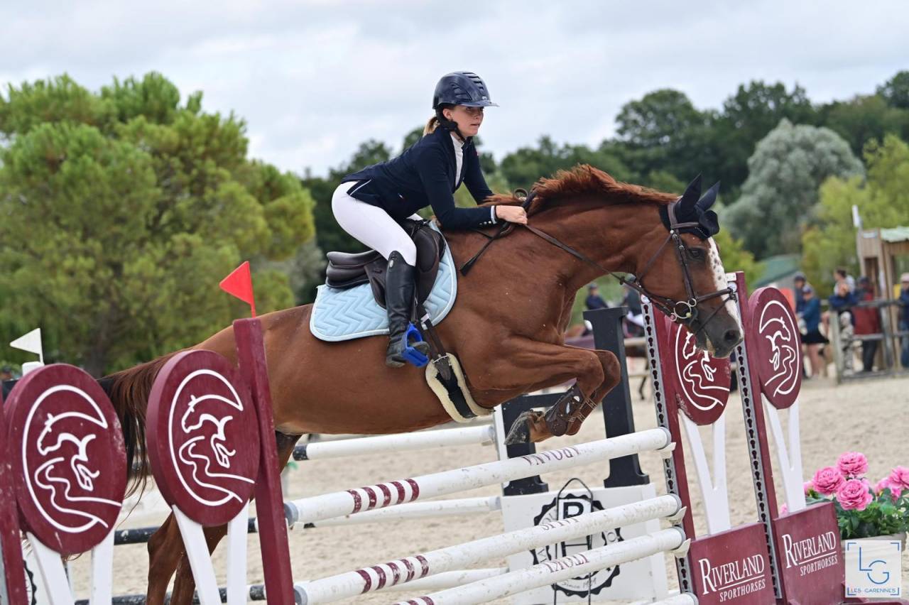 JUMENT 14 ANS SELLE FRANCAIS