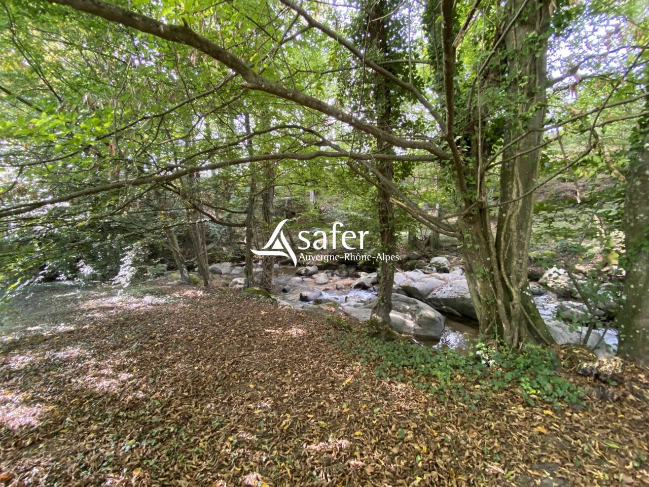 ANCIEN MOULIN AVEC HABITATION - MESSIMY