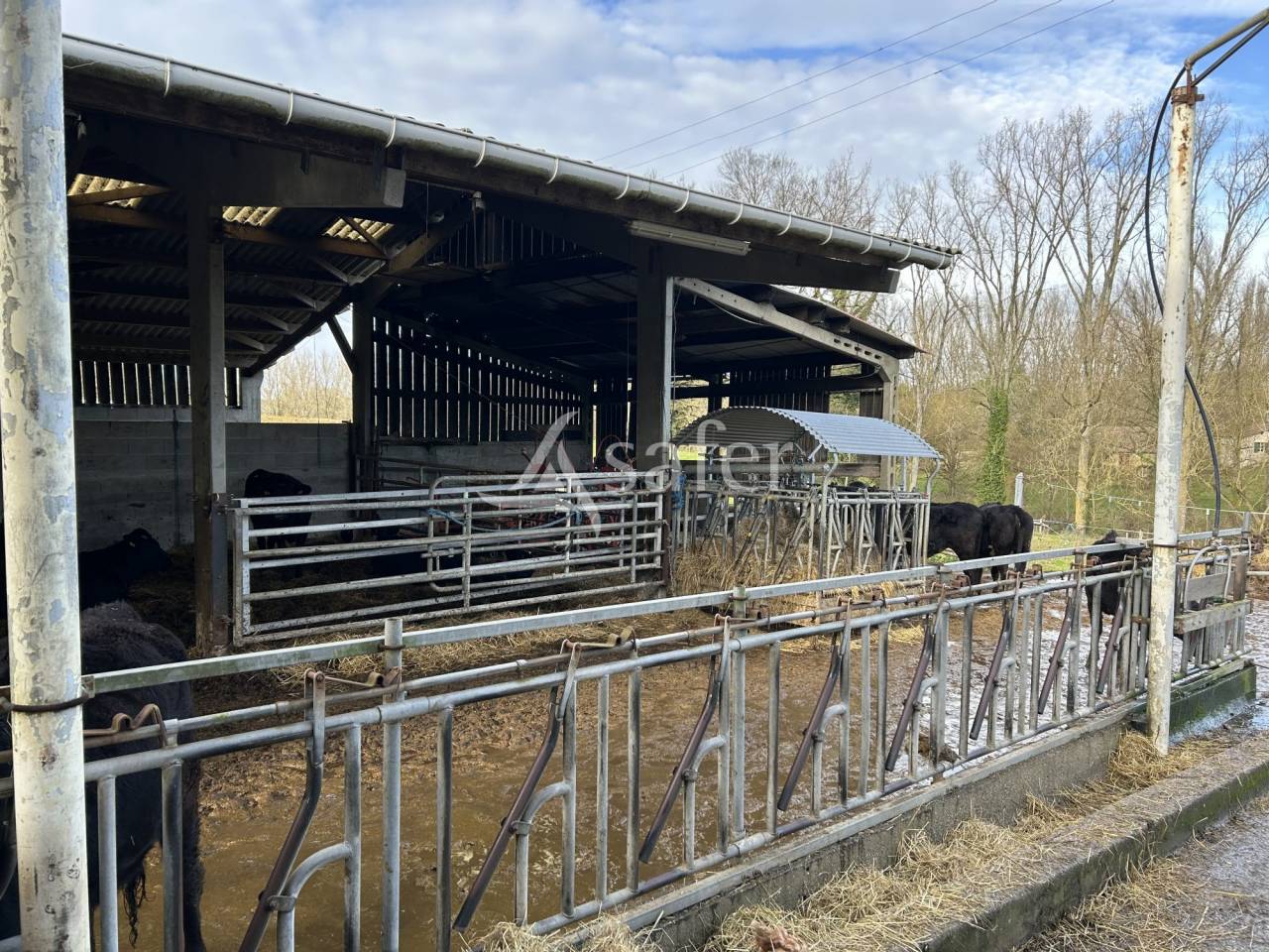 Propriété agricole sur 23ha