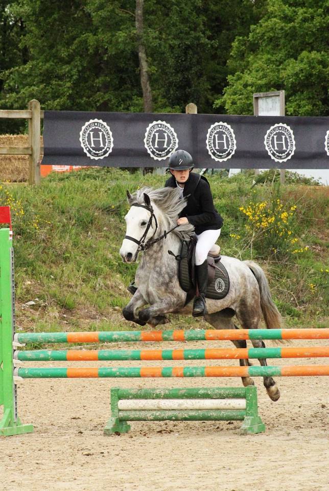 Top poney de concours 