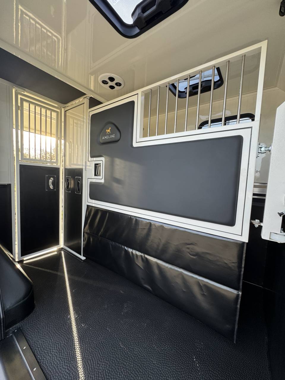 VL AMELINE RENAULT MASTER VERT