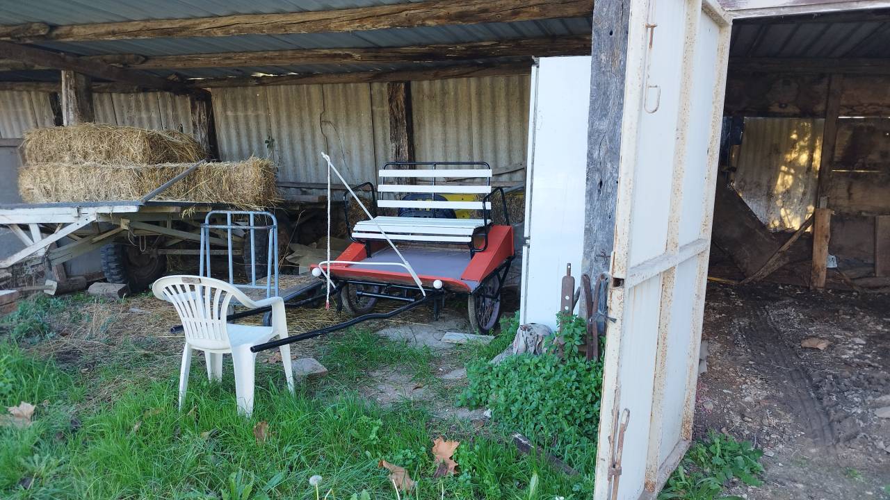Carriole pour poneys ou chevaux 