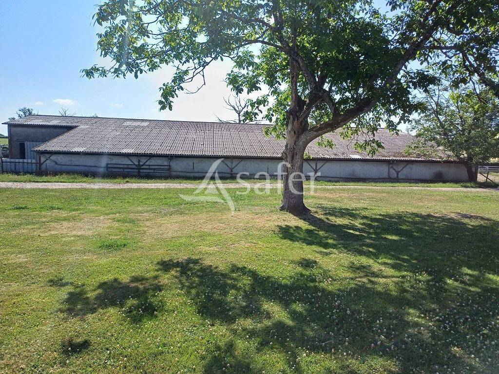 Propri&eacute;t&eacute; d'&eacute;levage tr&egrave;s bien group&eacute;e sur 127,5 ha